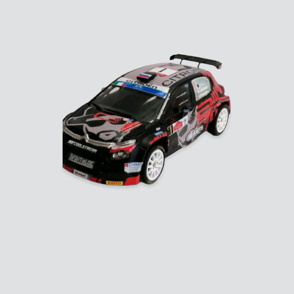 Citroen C3 R5 - Alexey Lukyanuk / Alexey Arnautov - Rally di Roma Capitale 2021