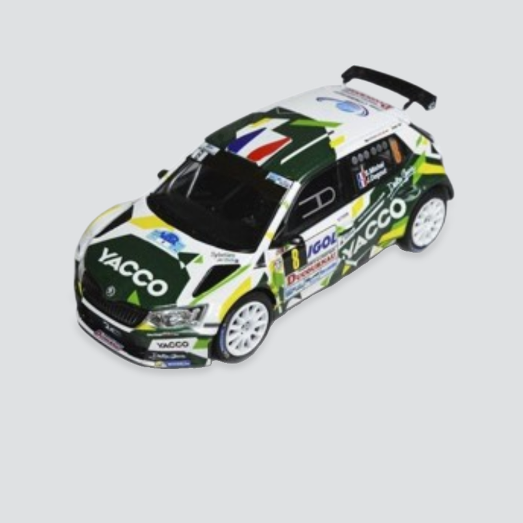 Skoda Fabia R5 #8 - Sylvain Michel / Jerome Degout - Rally du Var 2016
