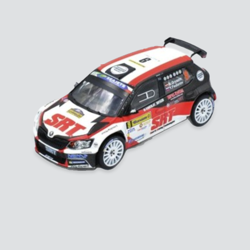Skoda Fabia R5 #9 - Nikolay Gryazin / Yaroslav Fedorov - Rally Barum 2018